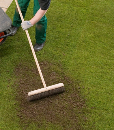 Lawn top dressing image