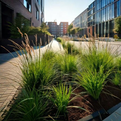 Realistic-modern-urban-streetscape-featuring-rain-gardens-and-bioswales-along-the-path-1